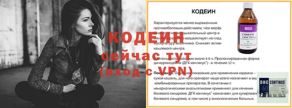 ECSTASY Липки