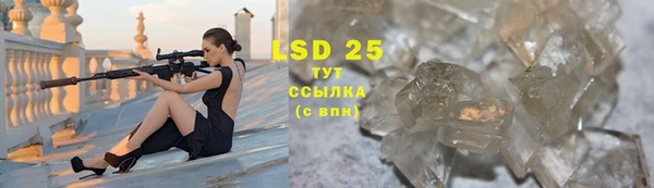 ECSTASY Липки